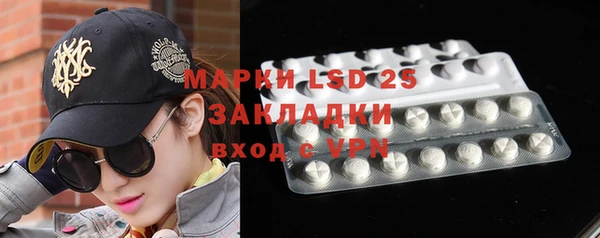 ПСИЛОЦИБИНОВЫЕ ГРИБЫ Баксан