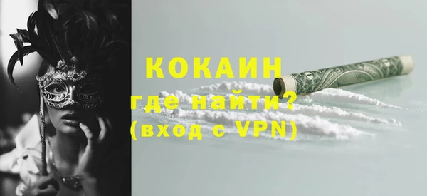 шишки Надым