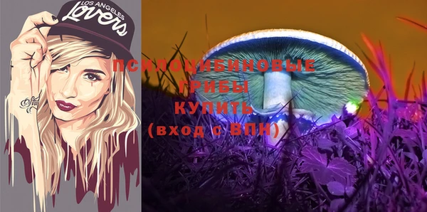 ПСИЛОЦИБИНОВЫЕ ГРИБЫ Баксан