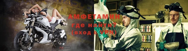 шишки Надым